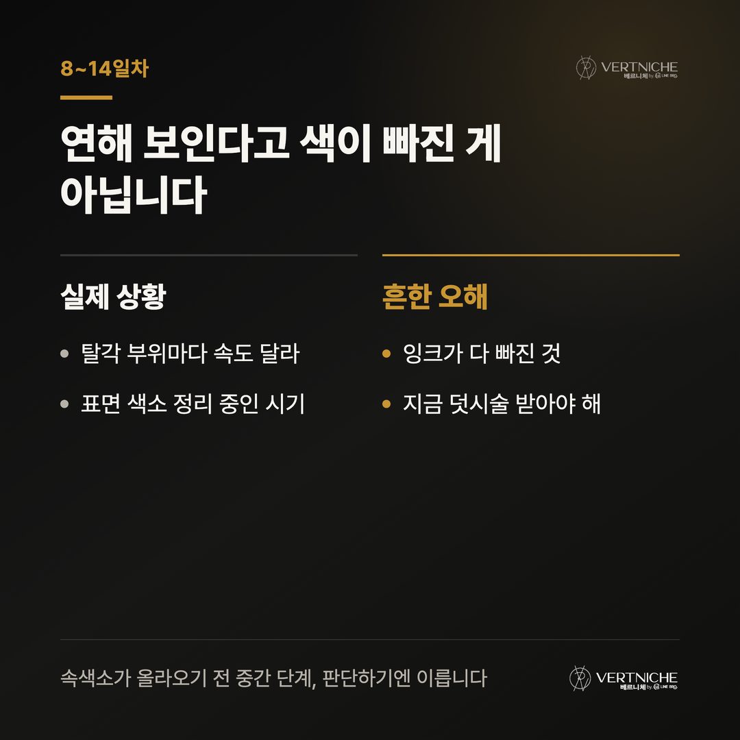 8~14일차 색소 흐려짐 구간 정상 회복 안내