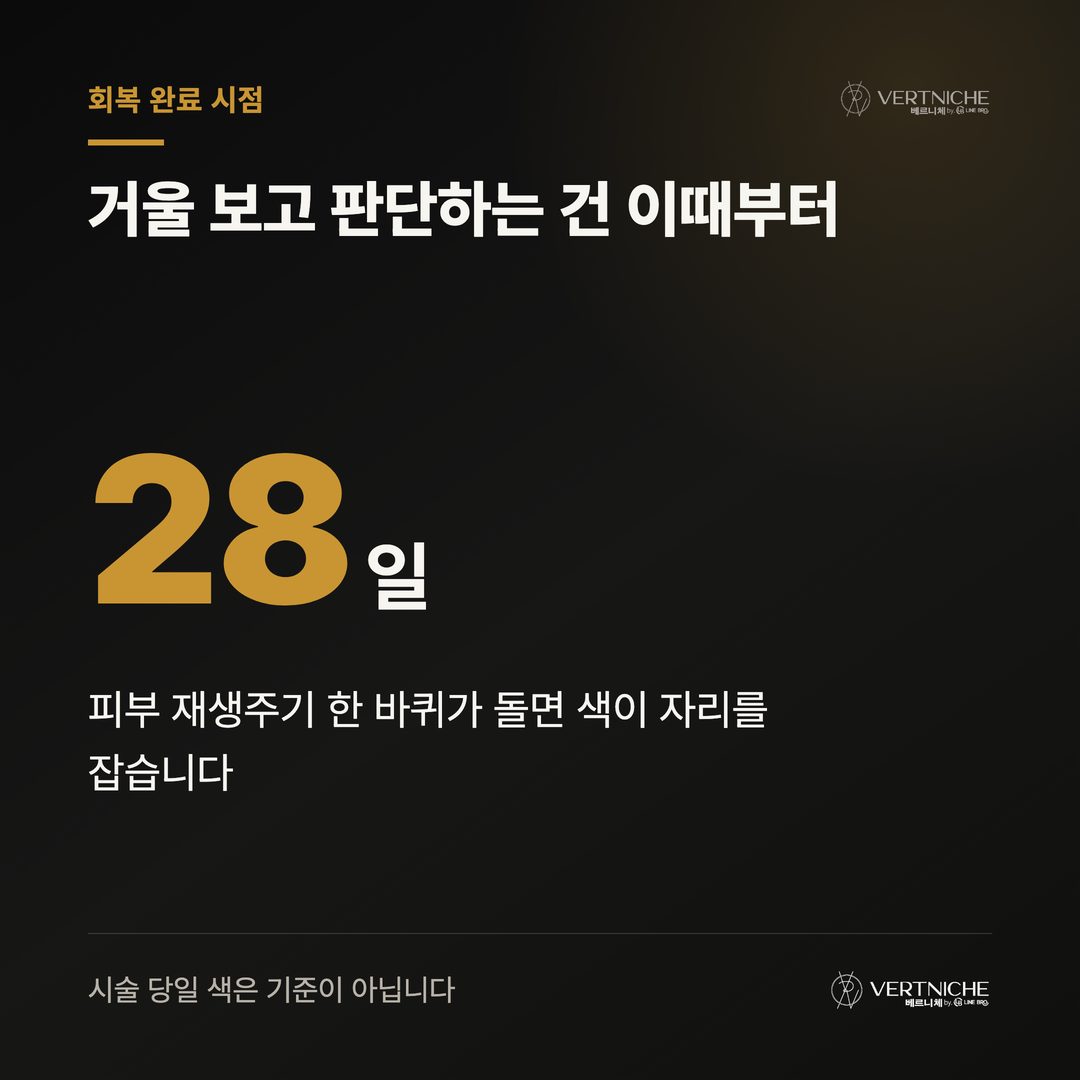 15~28일차 속색소 발현 및 최종 완성 타임라인