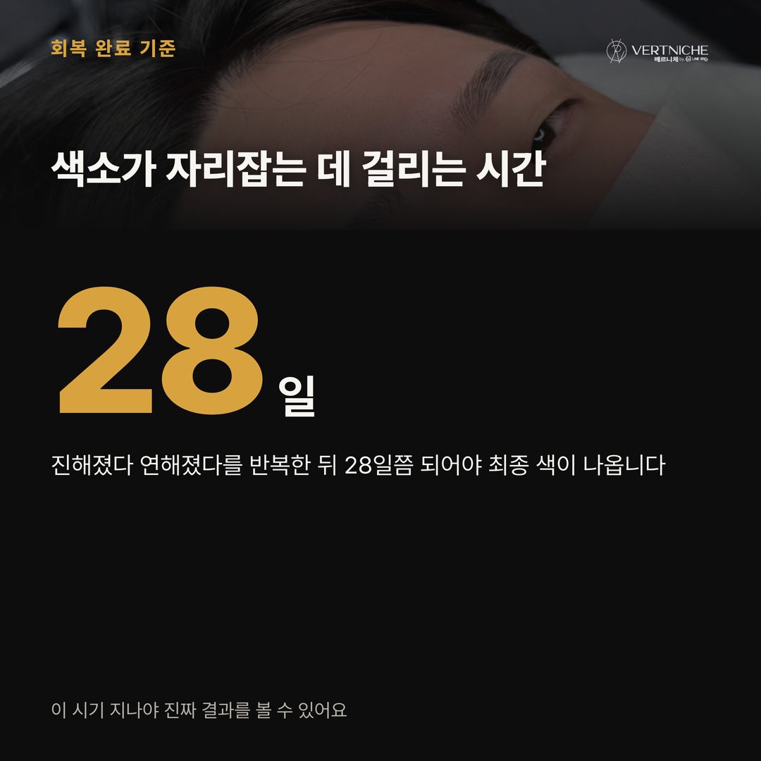 시술 후 1일차부터 28일차까지 눈썹 회복 단계별 색 변화 흐름